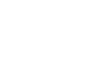 LoadHawk